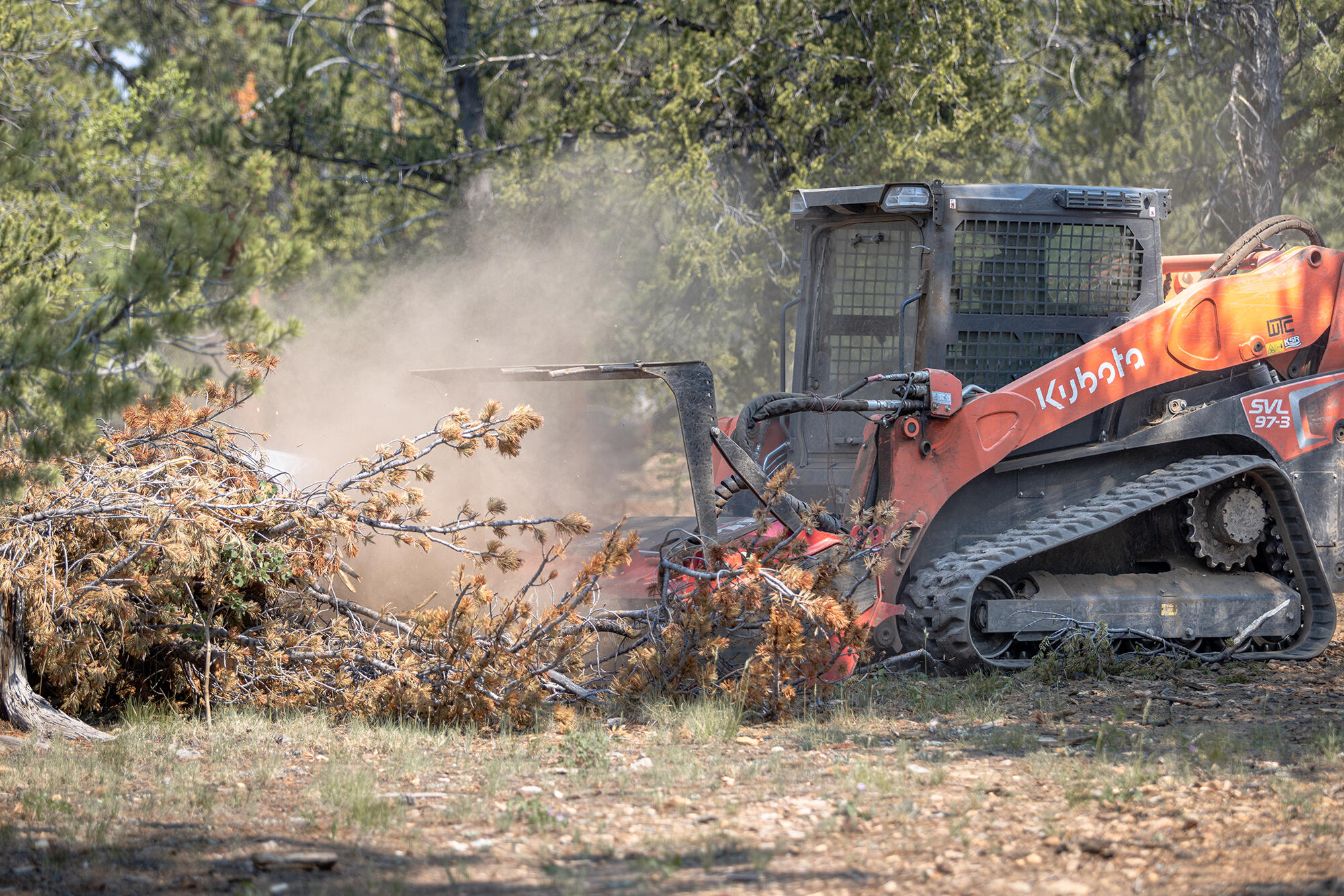 Forestry mulching and land clearing work