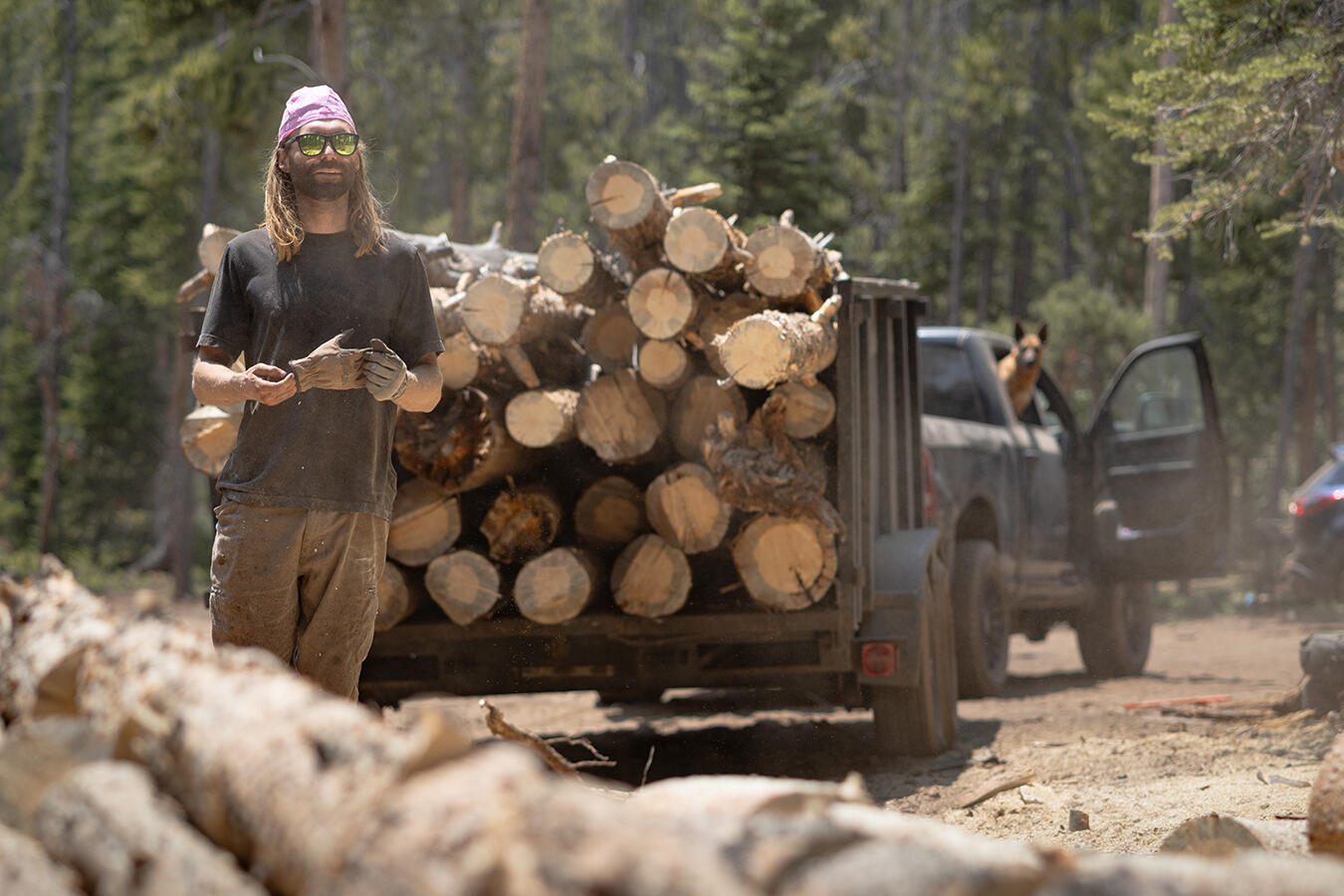 Firewood processing